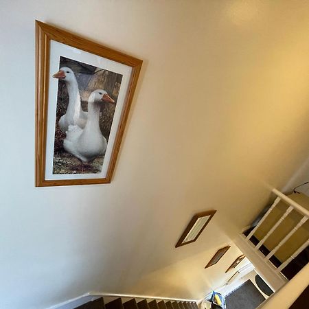 Beanies Lornestreet Four Bed House Apartamento Swindon Exterior foto